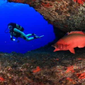 4 inmersiones (doble salida diaria)