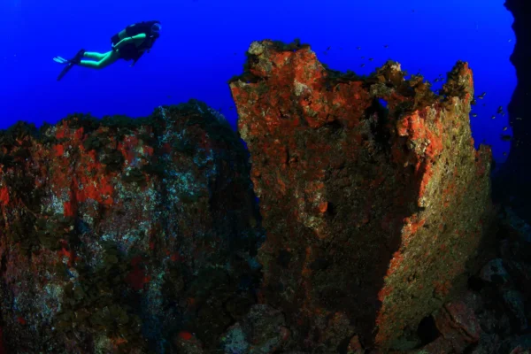Rescue Diver PADI