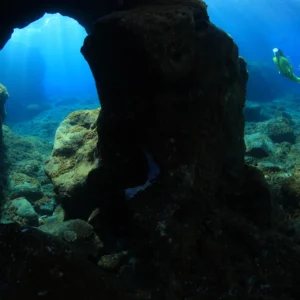 Primeros Auxilios ESA