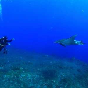 Primeros Auxilios con Oxigeno