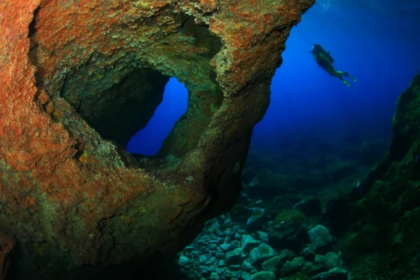 Divemaster PADI